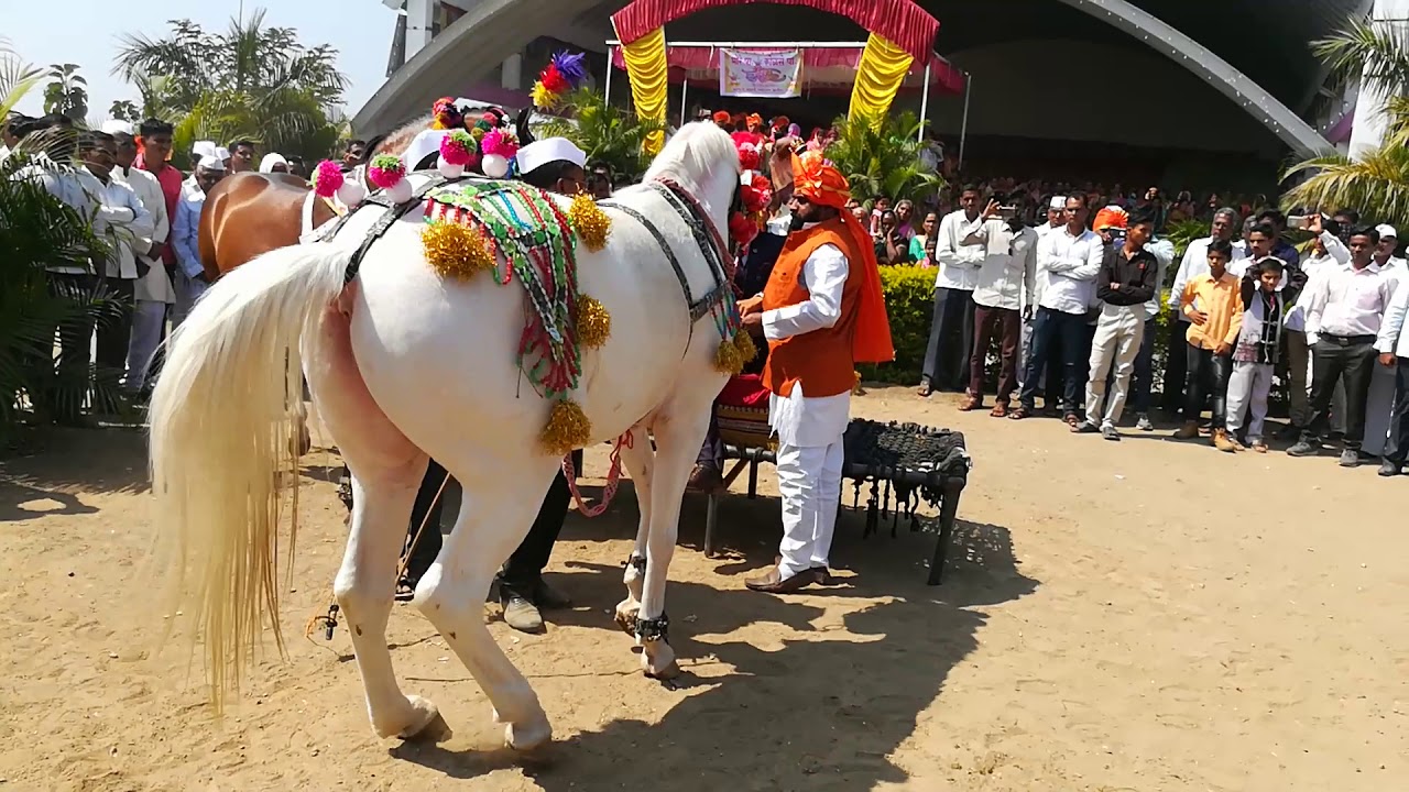 Rafik fiter sangmaner