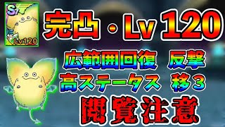 【ドラクエタクト】完凸、LV120のマポレーナの使用感。本格派ヒーラー【DQタクト】