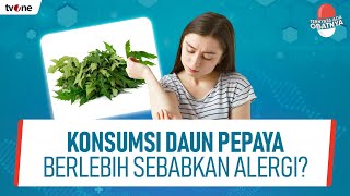 Fakta dan Mitos Daun Pepaya Untuk Kesehatan | Ternyata  Obatnya