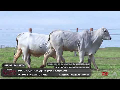 LOTE 104 BMTZ A4875 RGM A1030