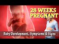 28 Weeks Pregnant: Baby Development, Symptoms &amp; Signs