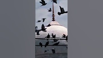 سوره بقره قسمت هفتم | قوانین زندگی، صدقه و تلاش برای خدا