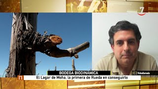 El campo al día: La bodega biodinámica El Lagar de Moha, Premio Surcos Mejor Iniciativa Ecológica