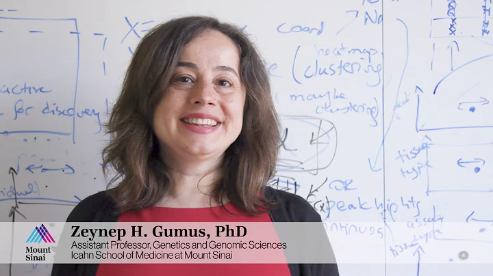 Zeynep Gumus, PhD