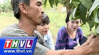 Ký sự: Cù lao Giêng – Tập 3: Sức sống mới trên đất cù lao