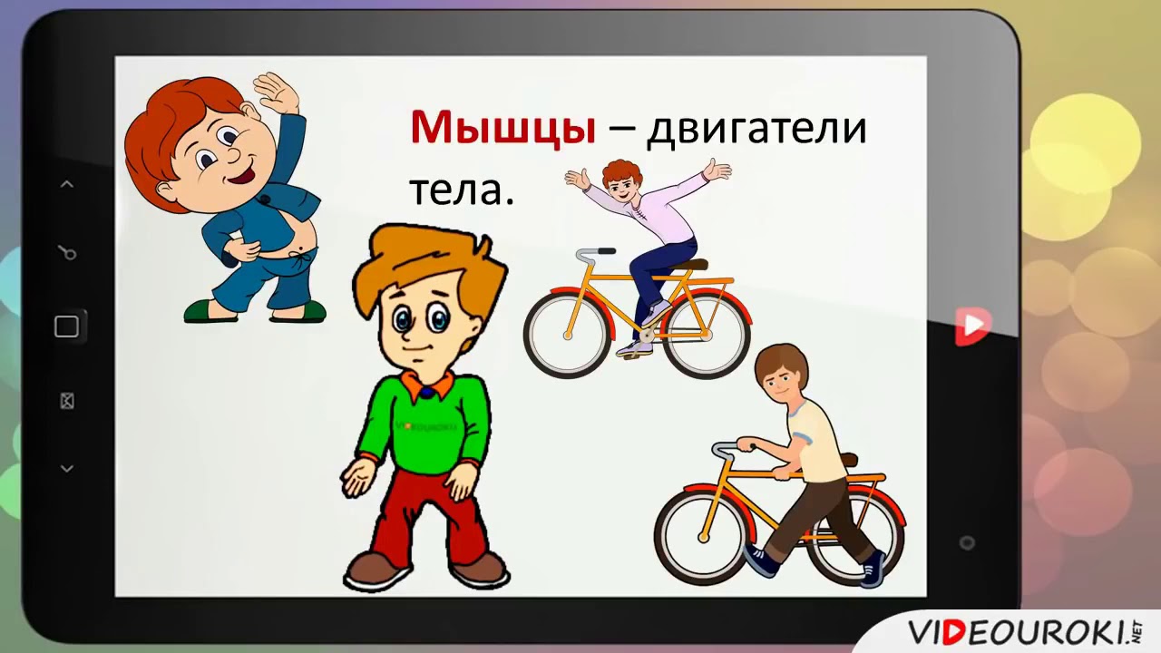 Видеоуроки окружающий. Опора тела и движение. Рисунок на тему опора тела и движения. Опора тела и движение 3 класс видеоурок. Опора тела и движение презентация 3 класс окружающий мир.