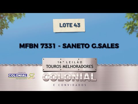 LOTE 43 MFBN 7331