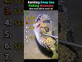 Ranking Deep Sea Fishing Moments Pt.5 | how much did he earn? 🤔 #fishing