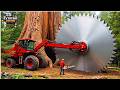 Extreme Dangerous Big Chainsaw Cutting Tree Machines &amp;  Wood Chipper Machines | Heavy Machinery #3