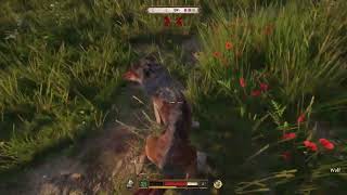 How to kill Wolves and Dogs Easily