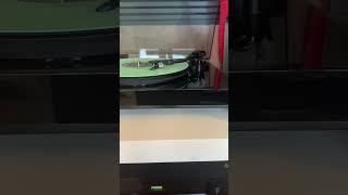 summer walker dont stop/ tempted vinyl edition
