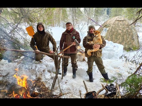 Видео: ЛАГЕРЬ В ТАЙГЕ - БУШКРАФТ | 3 ВИДА МЯСА - БОГРАЧ | РЕБРА НА ОГНЕ | КРОВАТЬ НА ДЕРЕВЕ | РЫЖИЙ ЗВЕРЬ