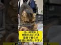 メス猫の発情期は照明で変わる!?【去勢済み猫に霧吹きの構え】#shorts