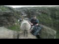 Sheep: A Love Story