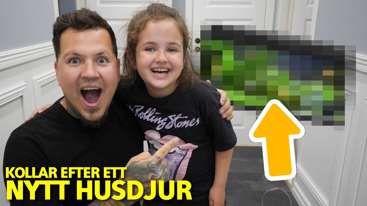 Kollar på nytt husdjur till Cataleya - Renoverar nya huset