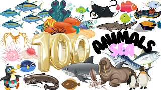 100 Sea Animals - 100 Marine or Ocean animals name in english - Underwater world footage