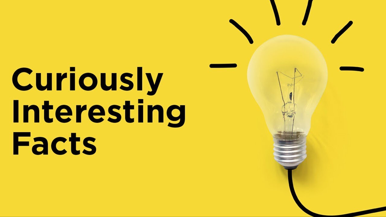 75+ Random Facts I Had to DoubleCheck to Believe Did You Know Facts