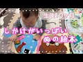 【生後10ヶ月】しかけ絵本で遊びました！楽しくてお気に入り