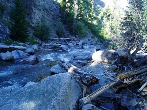 Fishing Tower Creek in Yellowstone National Park