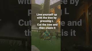 How to get the hard korok in lurelin village
