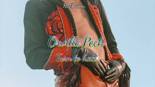 Thumbnail Orville Peck - Turn to Hate (Lyric + Sub)