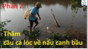 1205 | Cắm câu cá lóc nướng ăn tại đồng P2