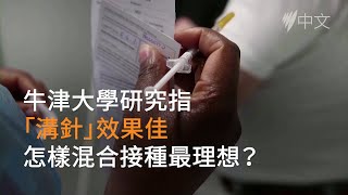 牛津大學研究指「溝針」效果佳 怎樣混合接種最理想？ | SBS中文