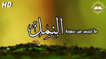 تلاوة هادئة - ما تيسر من سورة النمل ♡  آيات - Ayaat 🎙️ ( القارئ أحمد الشافعي )