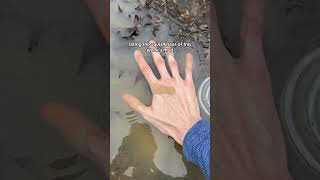 Rating the squishiness of this week's mud  #witchtok #nature #relax