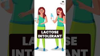 Why Some People Can’t Digest Milk 🤯 #anthropology  #lactoseintolerance  #humanevolution  #genetics