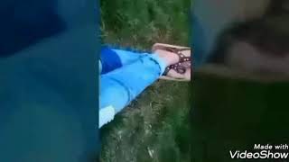 (Despacido) Yorumlarla Sarkı