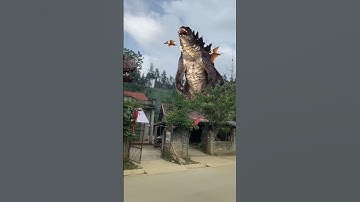 Khủng long bạo chúa T-rex and Godzilla #shorts