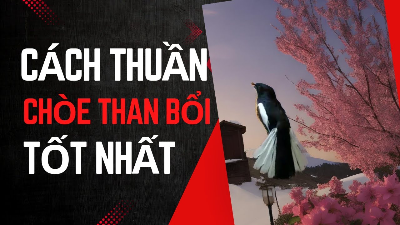 3 Mẹo Thuần Choè Than Bổi Hiệu Quả - Kinh Nghiệm Dành cho Người Mới.