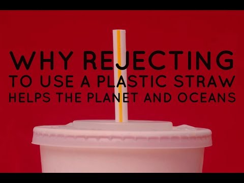 Why Rejecting To Use A Plastic Straw Helps The Planet And Oceans