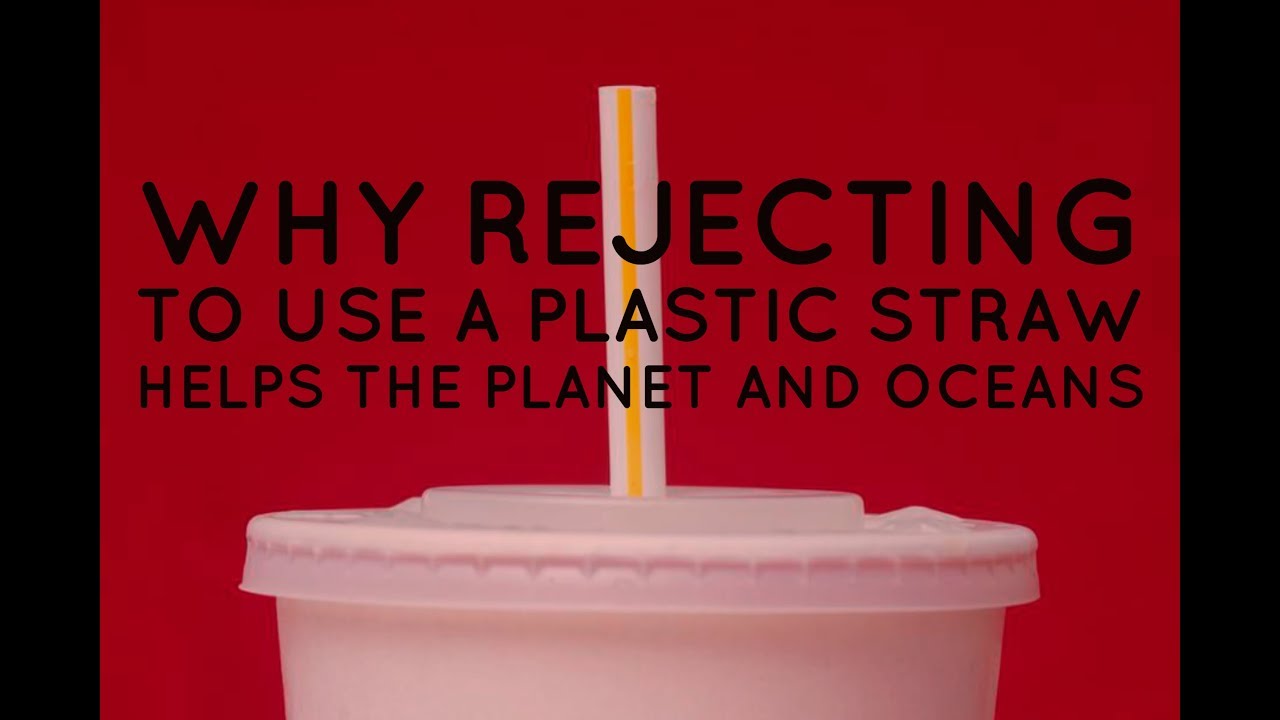 Why Rejecting To Use A Plastic Straw Helps The Planet And Oceans
