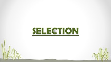 Part - 3 | CH - 6 | Selection | For BCom (P and H), NCWEB, SOL students.