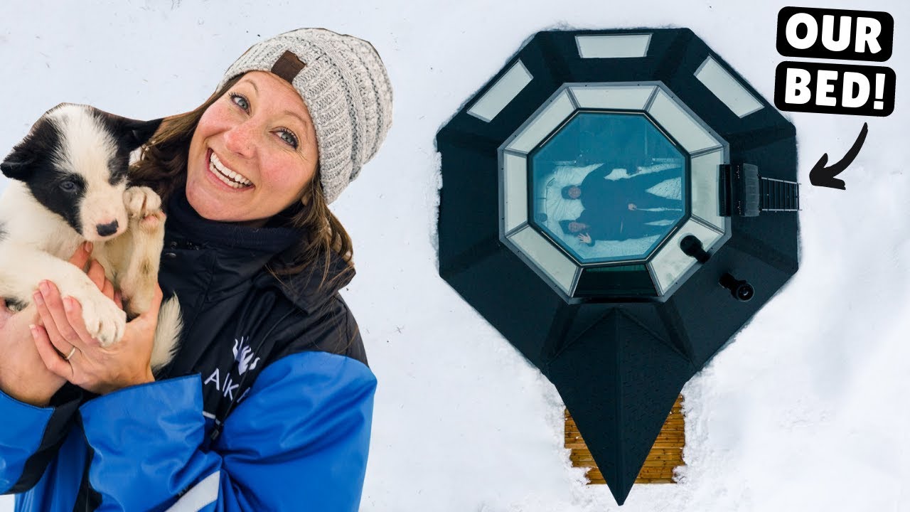 World's ONLY Glass TeePee & BABY HUSKIES (tears of joy)