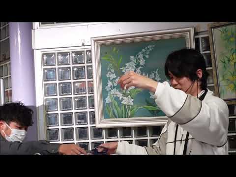 Reed Orchid栽培の実践ガイド