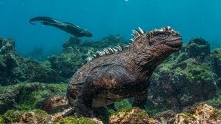 Die Siegerfotos Aus Dem Leserfoto-Voting Dezember 2012