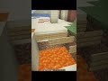 Minecraft Fake Sand Trap Moment
