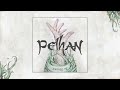 Pelhan  zgrabi me official audio