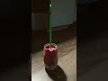 #390 of My Beyond 30-Day Smoothie Challenge raspberry 🥭 almond milk vegan vanilla protein powder