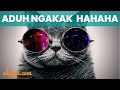 Kelakuan KOCAK Kucing Lucu Bikin Ngakak Terbaru 2018 #Okdogi