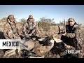 OL MEXICO MULE DEER - FLTV S07 E07