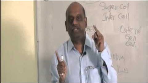 NEETPG Coaching Image Based MCQ