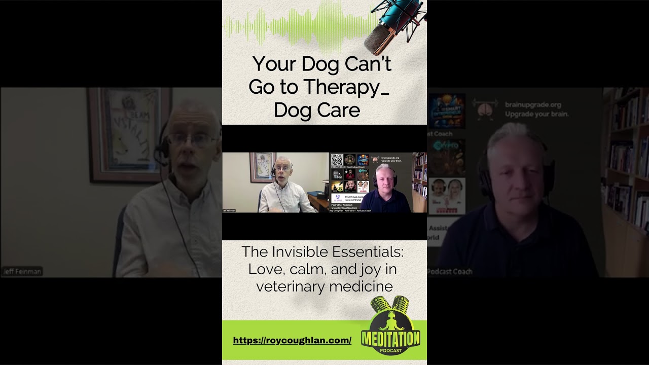 The Invisible Essentials Love, calm, and joy in veterinary medicine
