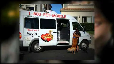 Watch the video about Pet Grooming New Castle PA Dog & Cat Groomers