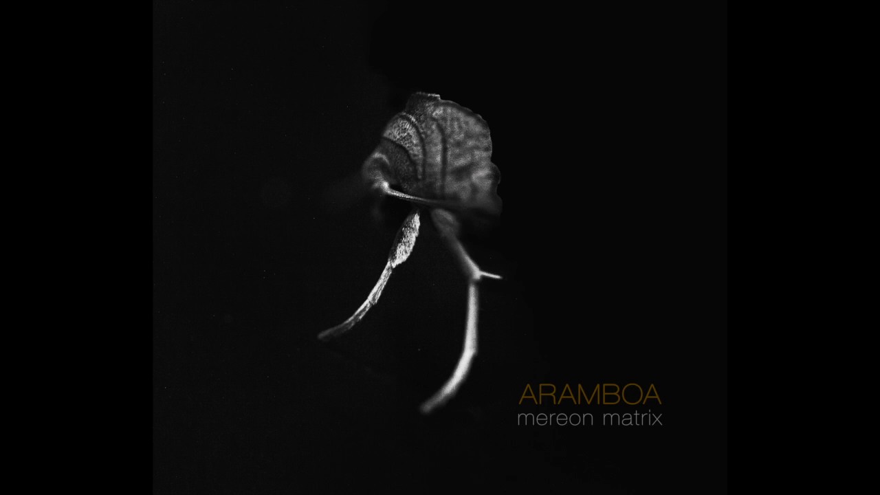 Watch Aramboa - Styx on YouTube Watch Aramboa - Styx on YouTube