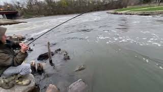 Walleye Fishing On the Fox River! (Illinois)