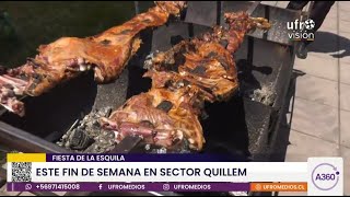 Fiesta de la Esquila en Perquenco: 3 y 4 de diciembre | ARAUCANÍA 360°